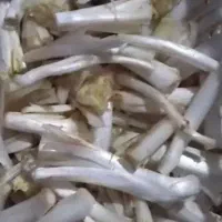 پاک شده