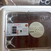 دستگاه جوجه کشی ۹۶تایی مدلEIG