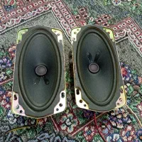 بلند گو بیضی