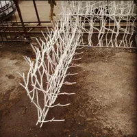 شعبه اصلی فروش 6شعبه فعال درشهرها