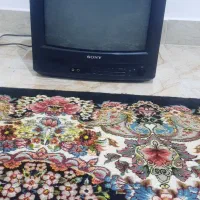 تلویزیون۱۴ سونی بادیجیتال