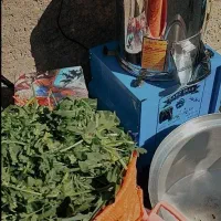 سبزی خوردکن