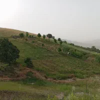 فروش-باغ