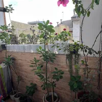 واحد ۱۰۵ متری دو خواب در نیروی دریایی/فلسطین|فروش آپارتمان|رشت, شهرک شهید رجایی|دیوار