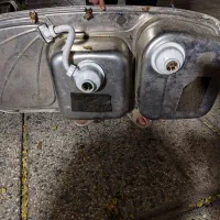 سینگ دوقلو سالم