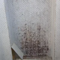 کفی اج دار نیسان دوگانه|قطعات یدکی و لوازم جانبی|ارزوئیه, |دیوار