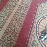 قالی ساوین کرمان|فرش|گتوند, |دیوار