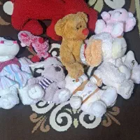 عروسک های در حد ند