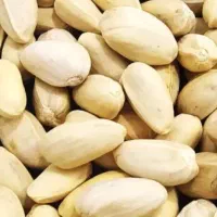 پسته پوک و روآبی