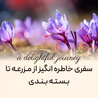 زعفران مصطفوی مشهد