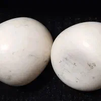 الماس آسیاب کهنه