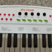 ارگ|اسباب‌‌بازی|رشت, گلسار|دیوار