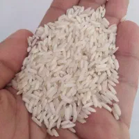 برنج طارم فجر درجه 1