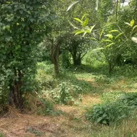 ۳۱۵ متر / زمین مناسب ویلا / قلب کریم آباد