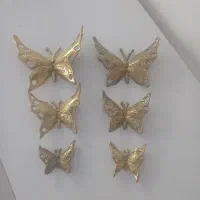 پروانه پرنجی