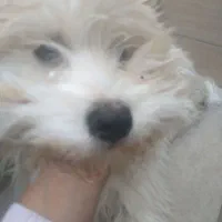 سلام بازیگوش وباهوش