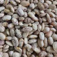 برنج و حبوبات مناسب تراز همه جا نیمدانه۱۷۰|خوردنی و آشامیدنی|بروجرد, |دیوار