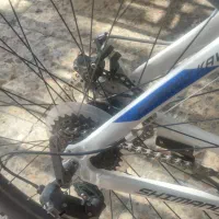 دو چرخه فونیکس|دوچرخه، اسکیت، اسکوتر|فولادشهر, B1|دیوار