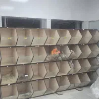 فروش استند آجیل