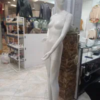 مانکن زنانه در حدنو