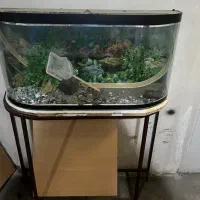 آکواریوم شیشه خم ۱۱۰ در ۴۰