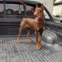 گمشده محدوده شهرقدس