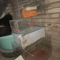 قفس پرنده