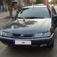 زانتیا نوک مدادی ۸۹