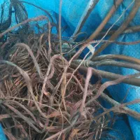 خرید فلزات رنگی مس ، برنج  و... به قیمت روز تهران