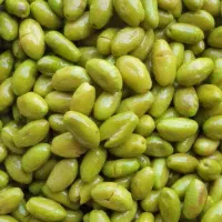 زیتون شکسته امساله|خوردنی و آشامیدنی|منجیل, |دیوار