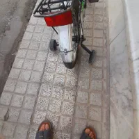 دوچرخه|دوچرخه، اسکیت، اسکوتر|قم, انصار‌الحسین|دیوار
