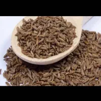 زیره اصل کرمان،درجه یک و عالی، با ۴۰درصد تخفیف|خوردنی و آشامیدنی|خرمآباد, |دیوار