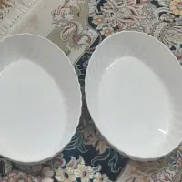 دو عدد دیس بزرگ