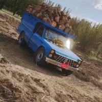 خریدار چوب وریشه|خدمات باغبانی و درختکاری|میاندوآب, |دیوار