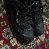 کفش|کیف، کفش، کمربند|زارچ, |دیوار