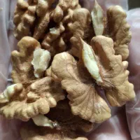 گردو محلی تازه