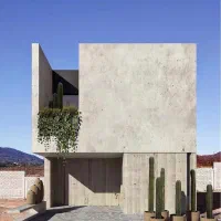 نیروی کمکی، پتینه کار ، میکروسمنت