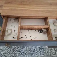 میز آرایش|تخت و سرویس خواب|مینودشت, |دیوار