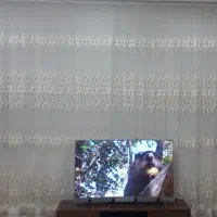 پرده توری|پرده، رانر، رومیزی|مشهد, پنجتن|دیوار