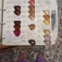 رنگ مارال|آرایشی، بهداشتی، درمانی|تهران, مینابی|دیوار