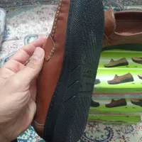 چرم طبی زنانه،چرم طبیعی|کیف، کفش، کمربند|چهاردانگه (تهران), |دیوار