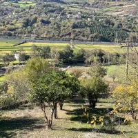 خونه باغ ویلایی در روستای یادمان(خرچنگ)ساری|فروش خانه و ویلا|پایین هولار, |دیوار
