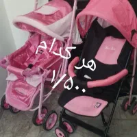 کالسکه ها در نو ۷ عدد