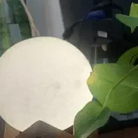 ۴۵۰ متر مغازه بر بلوار قاآنی