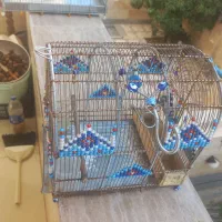 قفس|لوازم جانبی حیوانات|شیراز, احمدآباد|دیوار