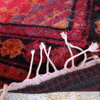 قالی محلی|فرش|دره شهر, |دیوار