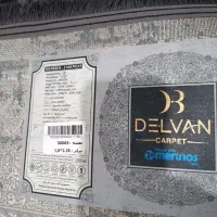 فرش|فرش|تهران, مسعودیه|دیوار