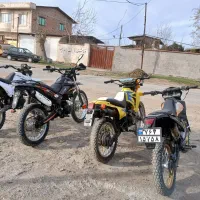 فروش راتو ۲۵۰