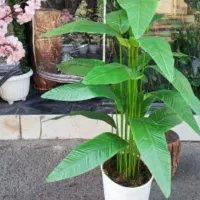 درختچه  مصنوعی|گل مصنوعی|ساوه, |دیوار