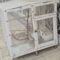 قفس پرندگان